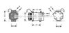 AVA QUALITY COOLING CNK217 Compressor, air conditioning